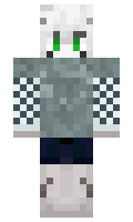 ce3fbda4342c37 minecraft skin