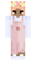 ce55dec017441f minecraft skin