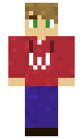 WeaselsRock minecraft skin