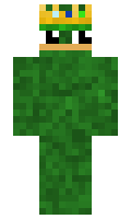 ce702f76325204 minecraft skin