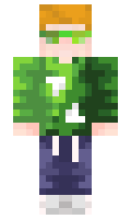 ce731b04d6a6c9 minecraft skin