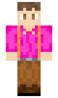 turlt minecraft skin