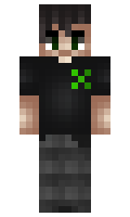 cea17b6811a1d5 minecraft skin