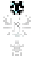 Dolomode minecraft skin