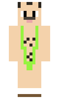 vudisp minecraft skin