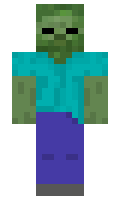 cedc1e3add315c minecraft skin