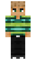cee27909b65c07 minecraft skin