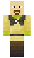 ceffea5250c7b0 minecraft skin