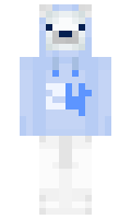 Nordjk minecraft skin