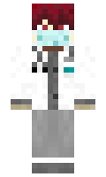Indicado minecraft skin