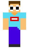 WJ2008 minecraft skin