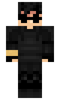 palion minecraft skin