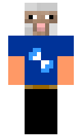 Toxsi minecraft skin