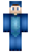 Poilpoil minecraft skin