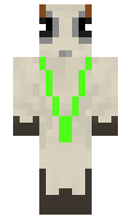 Boligrin minecraft skin