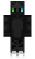 hdjg minecraft skin