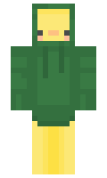 d0023641d1f465 minecraft skin