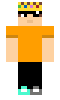 d0106d3c893486 minecraft skin