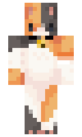 Petew899 minecraft skin