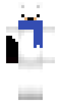 niedzwiedzpl1 minecraft skin