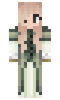 d06bfea5c0c18e minecraft skin