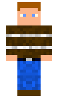 wiper minecraft skin