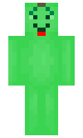 d08e60179baa27 minecraft skin