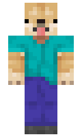 SafeWarrior2419 minecraft skin