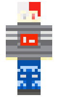 saccat minecraft skin