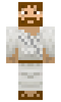 d0d3f929aa1869 minecraft skin