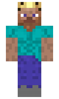 d10a2db048050f minecraft skin