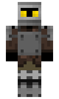 wildwild minecraft skin