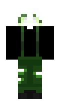 d11a38a10e55f8 minecraft skin