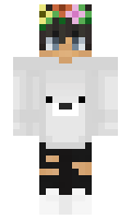 d1265a3392dba9 minecraft skin