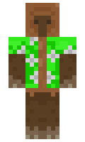 cheetah minecraft skin