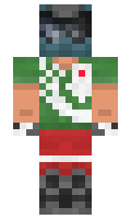 d1387644e856f8 minecraft skin