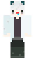 d14e8f6937d4ab minecraft skin