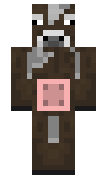 Brayds minecraft skin