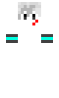 Narmin minecraft skin