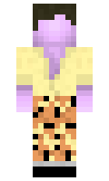 d17a4acb0ea575 minecraft skin