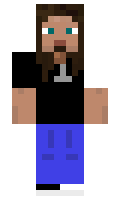 vose minecraft skin