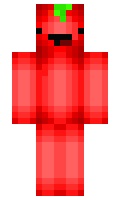 Applac minecraft skin