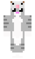 Owner minecraft skin
