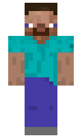 NewBeast minecraft skin