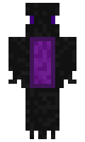 d1d997d11c41d0 minecraft skin