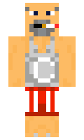 VLAL minecraft skin