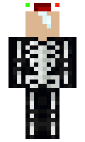 d1fc7c29164062 minecraft skin