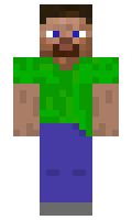 d1fd1b7952f448 minecraft skin