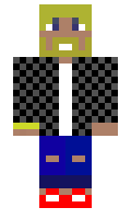 d1ffcbeb6fc96d minecraft skin