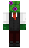 d216db6b5ce0bf minecraft skin